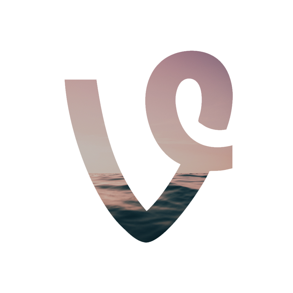 Shoppy profile picture for @vine