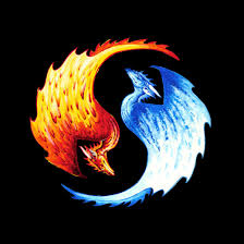 Shoppy profile picture for @Flying