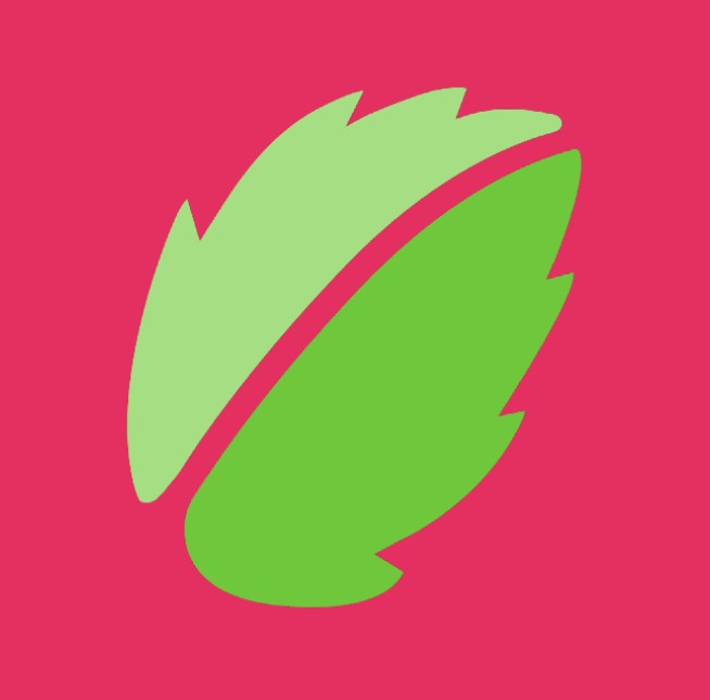 Shoppy profile picture for @Mint