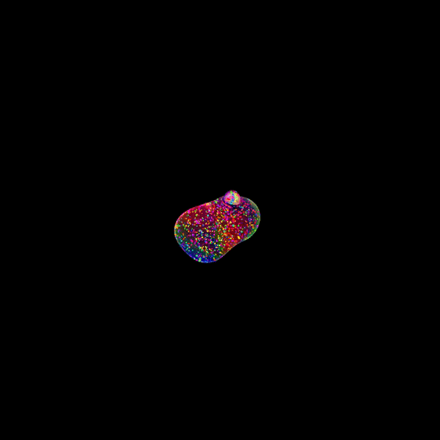 Shoppy profile picture for @Shoping