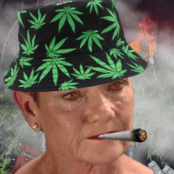 Shoppy profile picture for @Supermarket