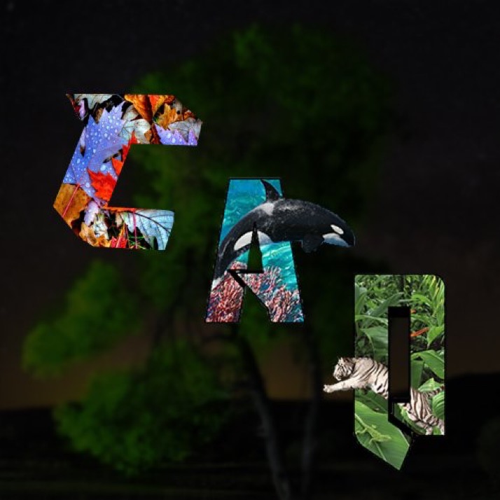 Shoppy profile picture for @aquatic