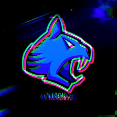 Shoppy profile picture for @MADNESS