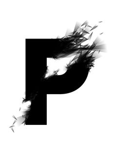 Shoppy profile picture for @Possibilities