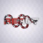Shoppy profile picture for @React
