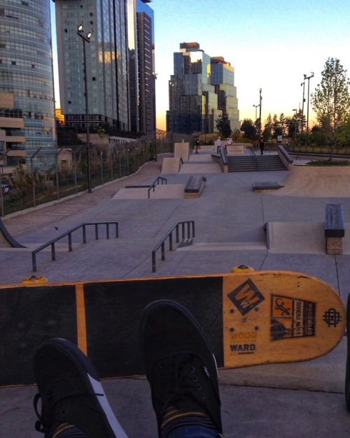 Shoppy profile picture for @skater