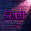 Shoppy profile picture for @Sleet