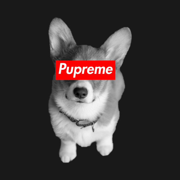 Shoppy profile picture for @Pragmatic
