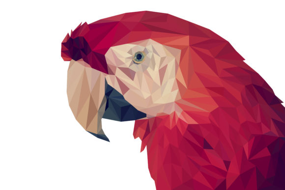 Shoppy profile picture for @Investor