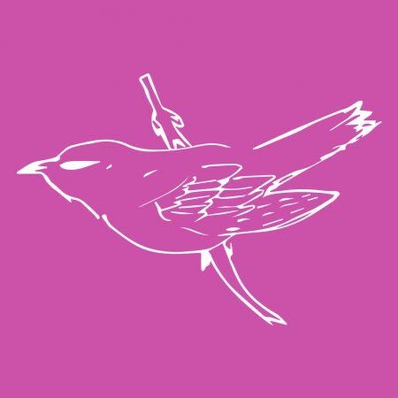 Shoppy profile picture for @Cuckoo