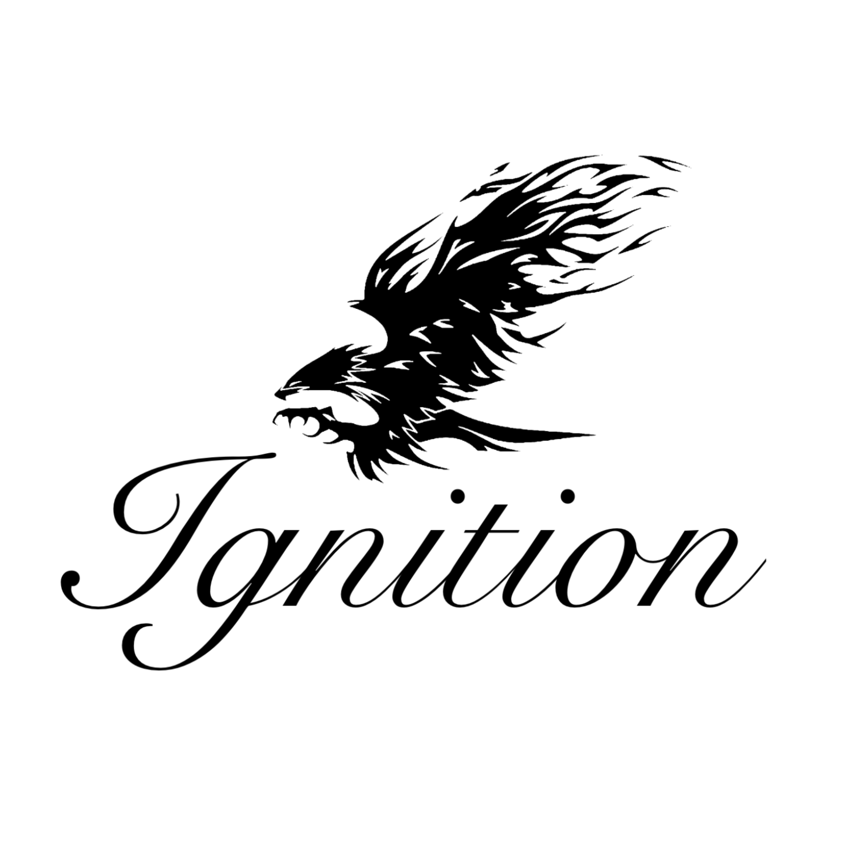 Shoppy profile picture for @Ignition