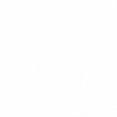 Shoppy profile picture for @Ergo