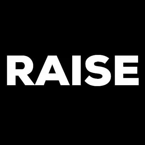 Shoppy profile picture for @raise