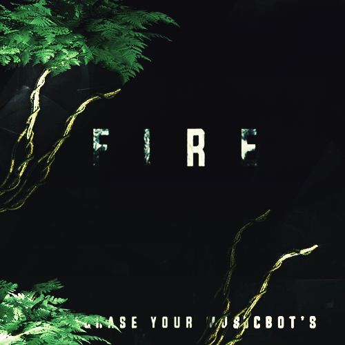 Shoppy profile picture for @Fire
