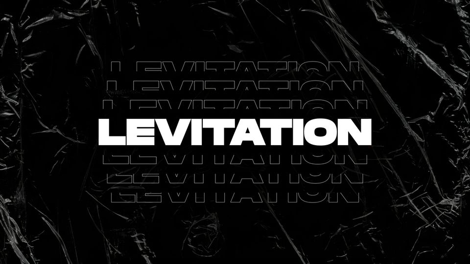 Shoppy profile picture for @levitation