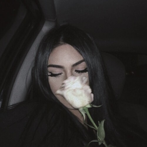 Shoppy profile picture for @Crowns