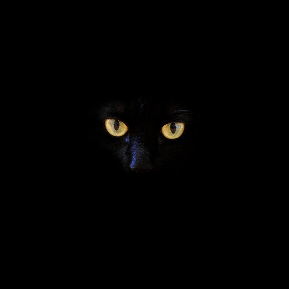 Shoppy profile picture for @returns