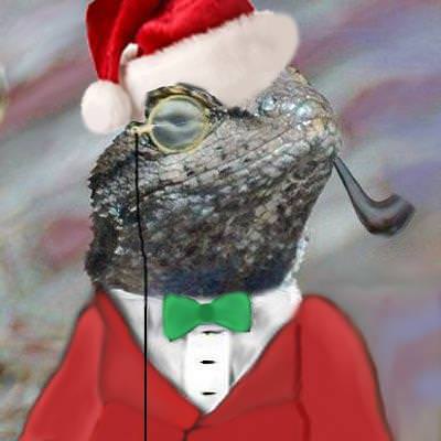 Shoppy profile picture for @DNS