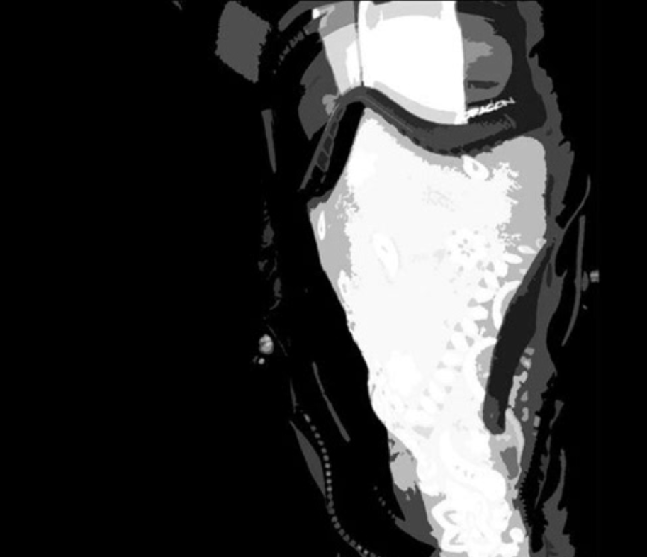 Shoppy profile picture for @Rancher