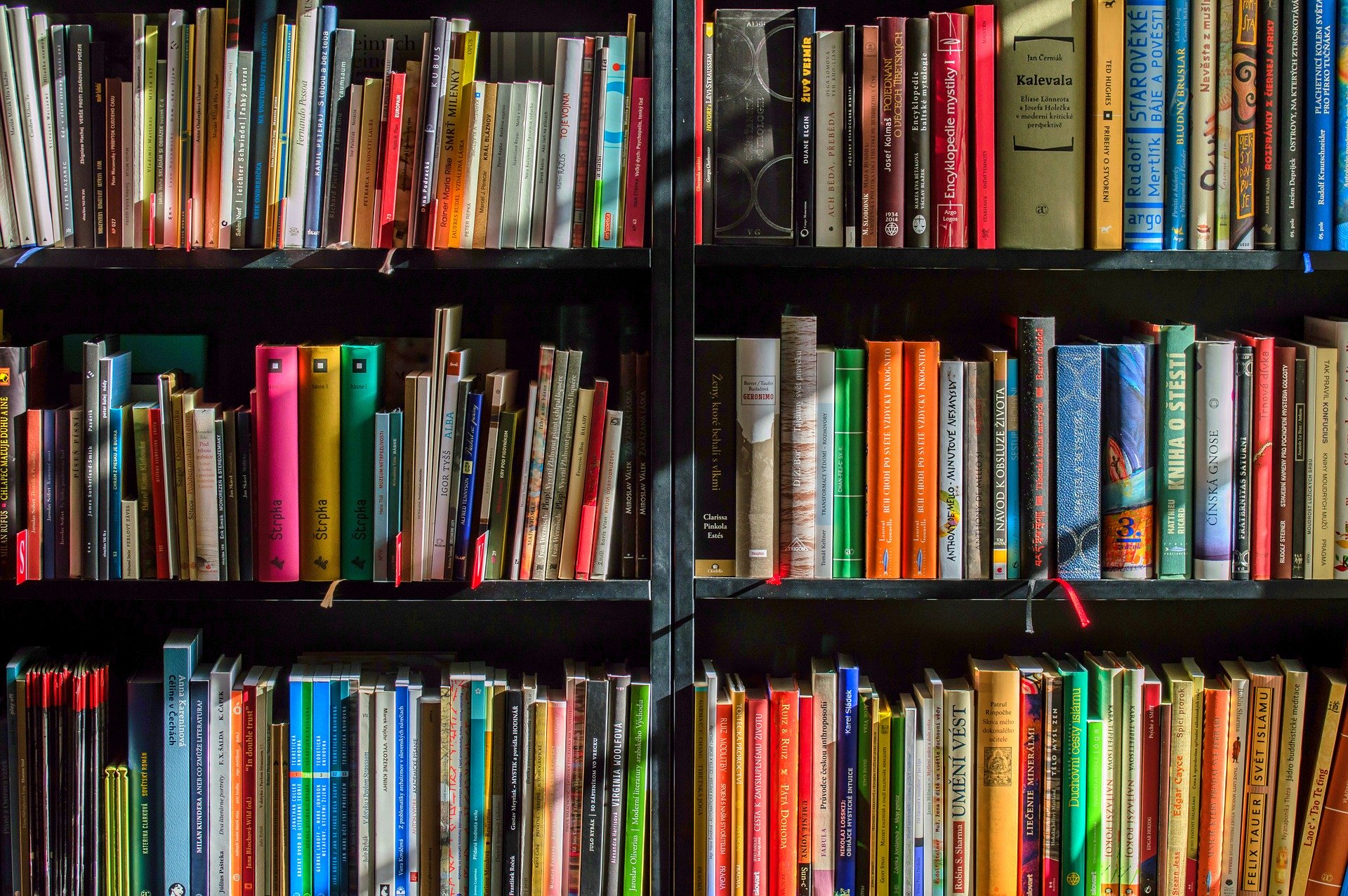 Shoppy profile picture for @Bookstore