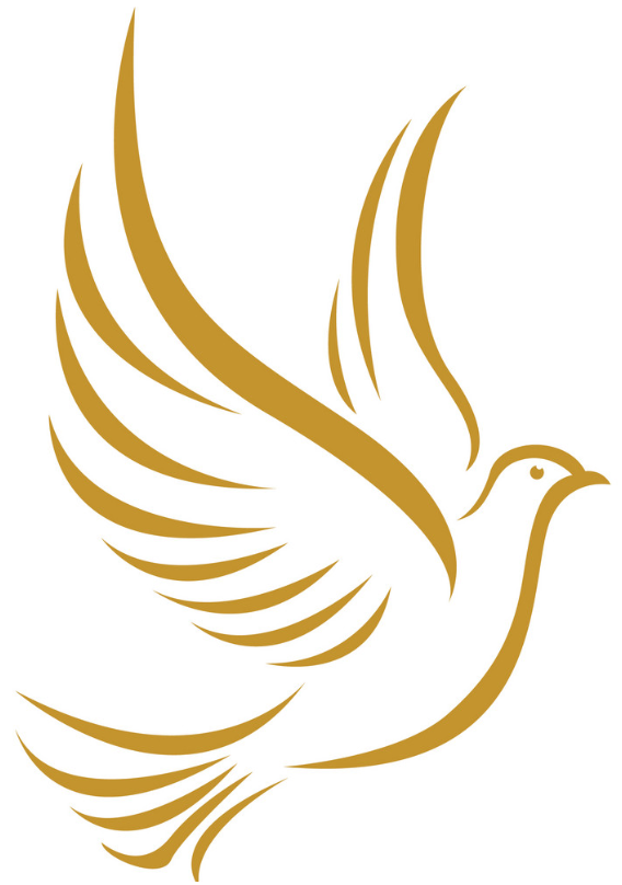 Shoppy profile picture for @Dove