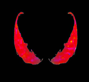Shoppy profile picture for @Zhang