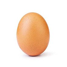 Shoppy profile picture for @Eggs