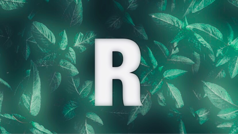 Shoppy profile picture for @Energetic