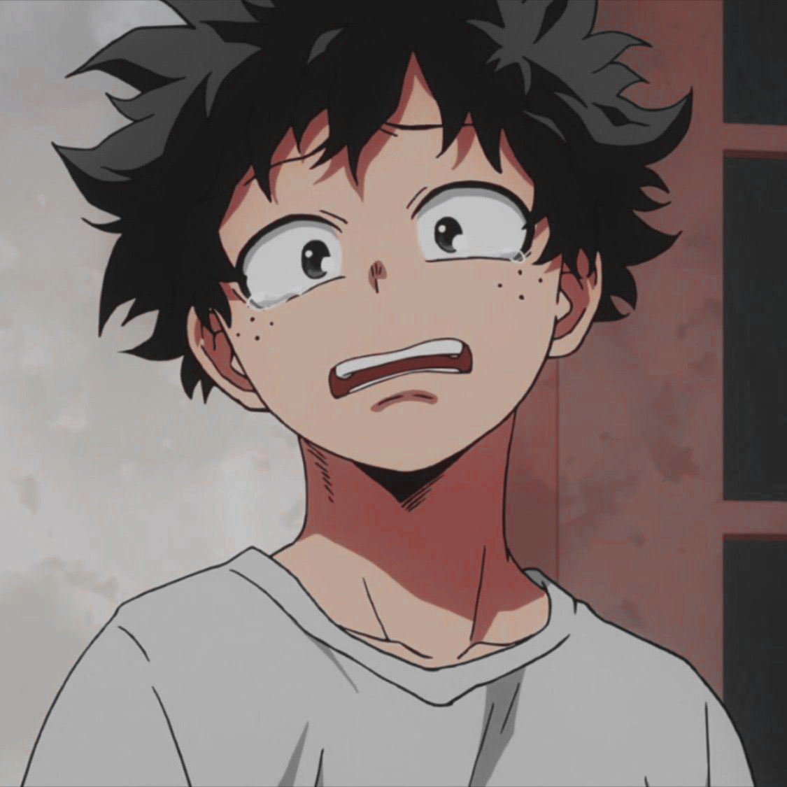 Shoppy profile picture for @Anthem