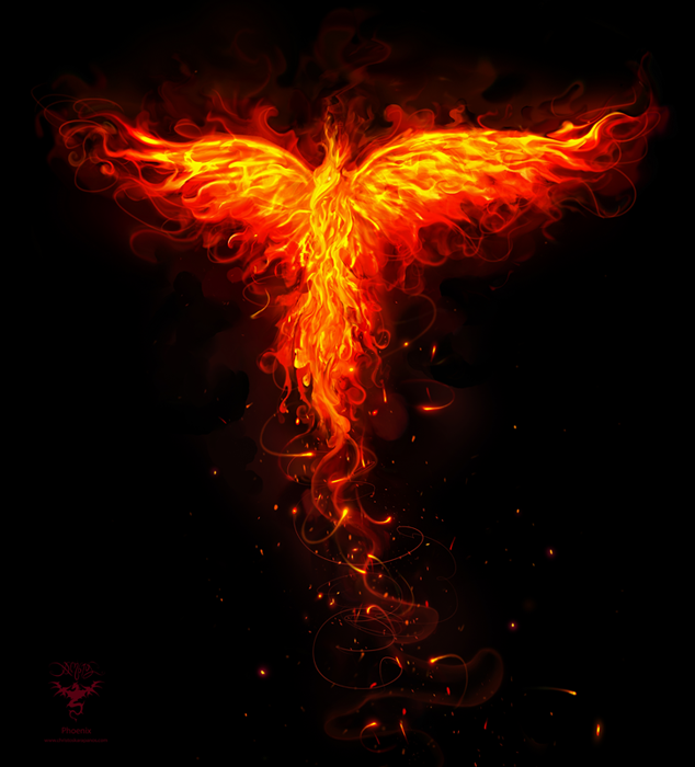 Shoppy profile picture for @FireBird