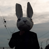 Shoppy profile picture for @Vanity