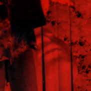 Shoppy profile picture for @demented