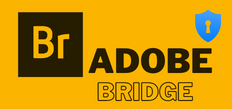ADOBE BRIDGE 2021