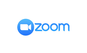 Zoom Pro Meeting Account 1 Month 100 Participants