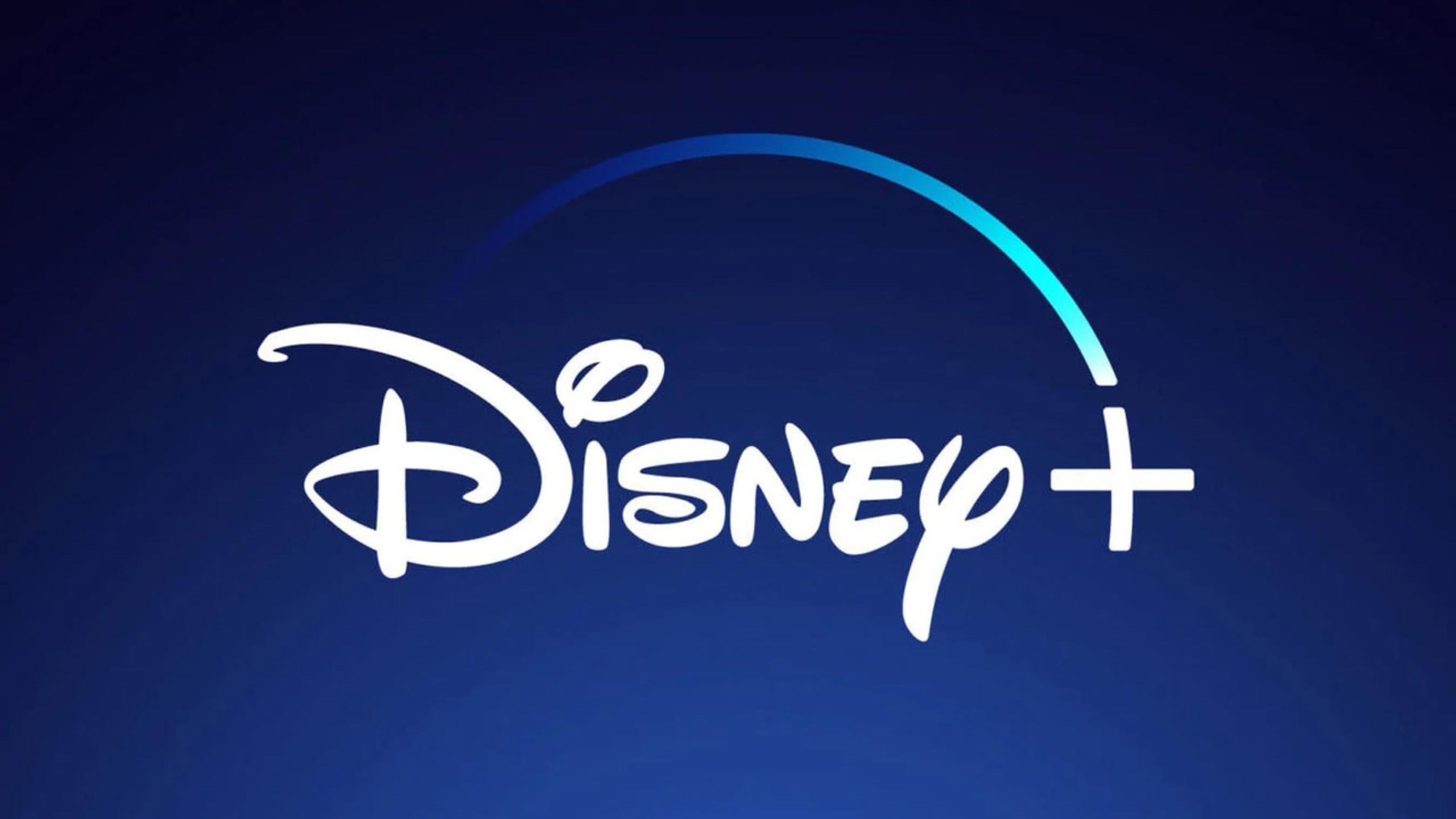 Disney+ account 1 Month warranty