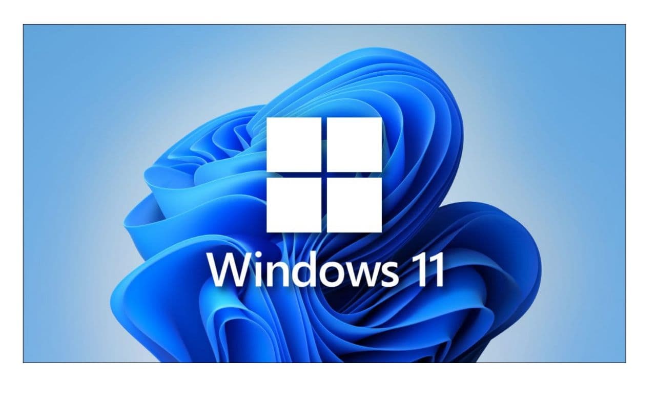 Windows 11 Pro Lifetime Online Activation 1PC