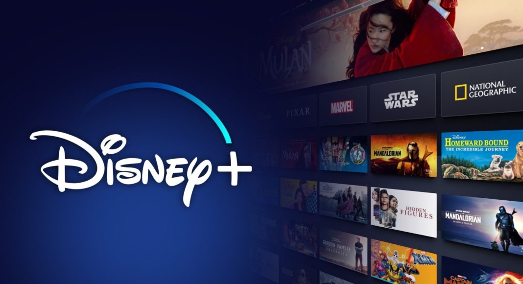Disney+ account  1 month warranty
