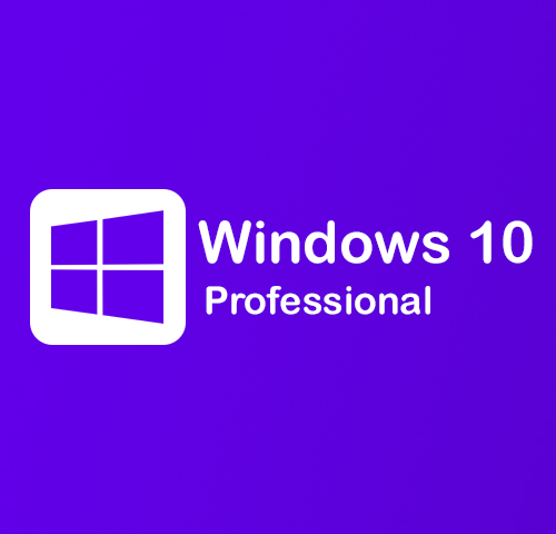 [OEM] Windows 10 Pro Activates 1 PC Online