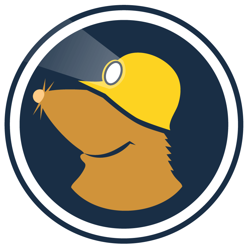 Mullvad Vpn on your own acc Lifetime $60 | On Your Own Account
