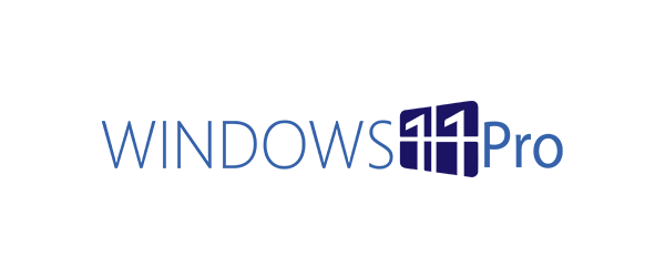 Windows 11 Pro Key - Lifetime  Private l Phone Key