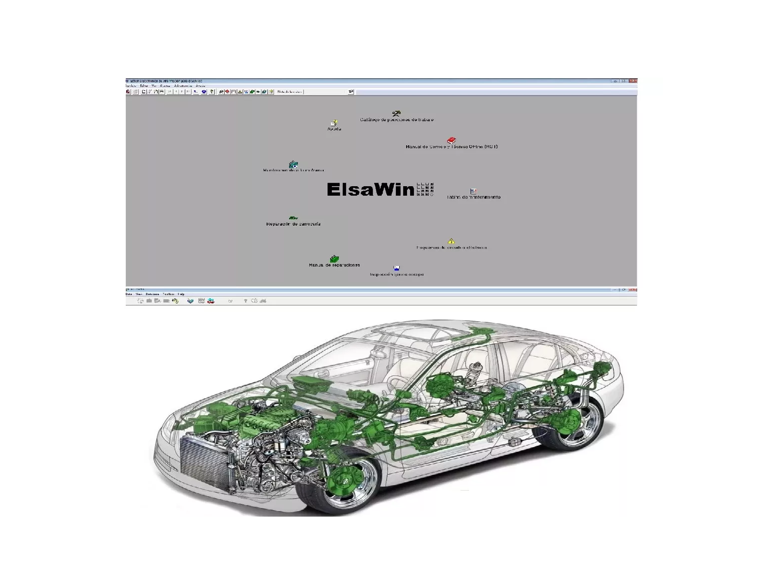 Haynes Workshop Data Pro (server) And Elsawin
