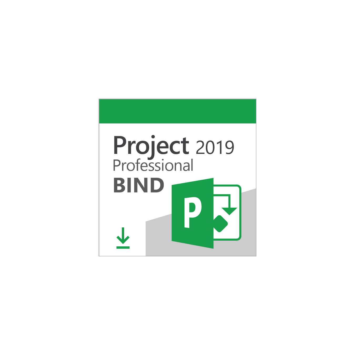 Project 2019 Professional BIND Key