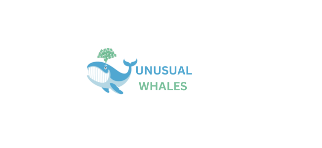Unusual Whales {Super Live Buffet}