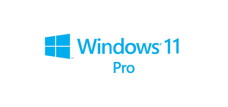 Windows 11 Pro I Lifetime