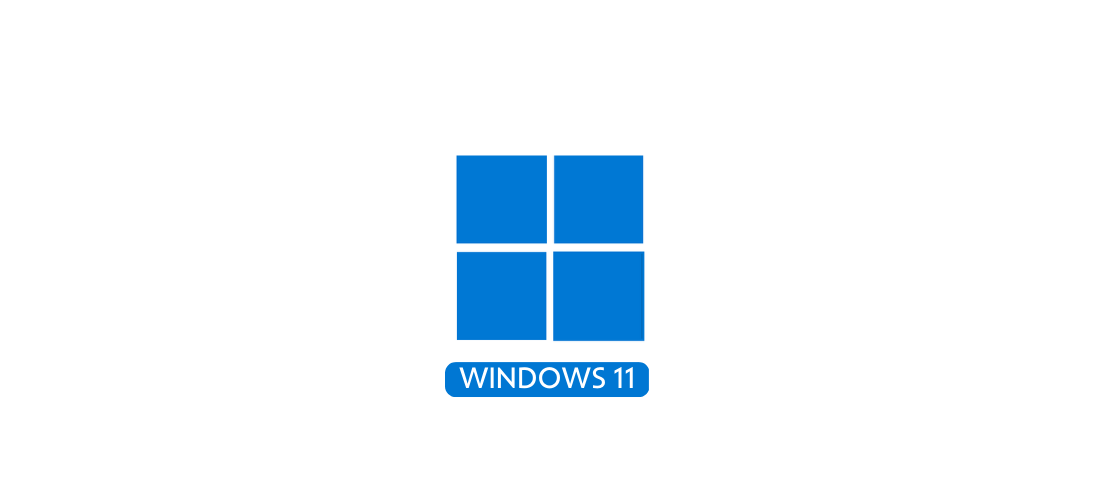 Windows 11 Pro l 5 Activations