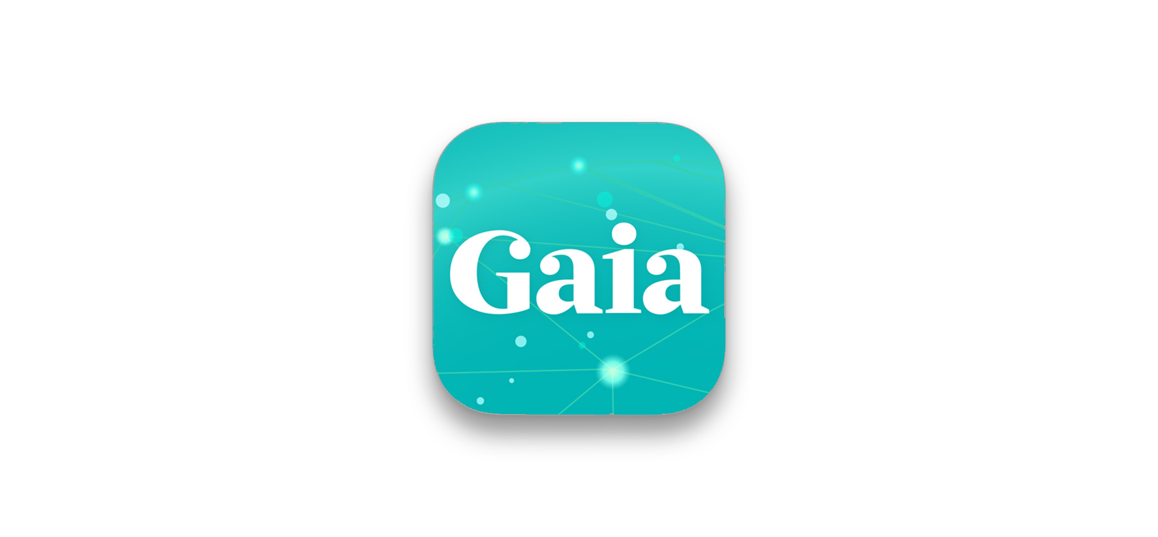 Gaia 8 Month Warranty