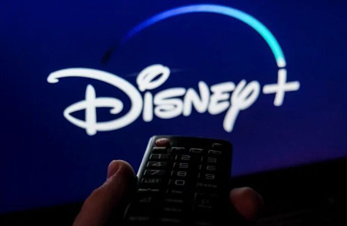 Disney+ account - 6 months warranty
