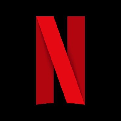 NETFLIX 12 Months Plan ( 6 Months Warranty )