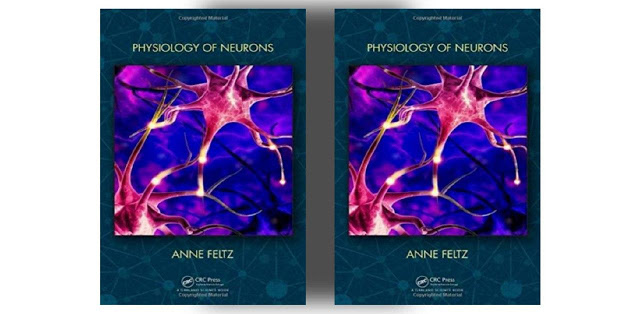 Physiology of Neurons (Anne Feltz) 2020