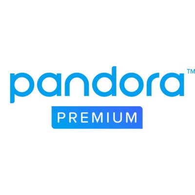Pandora Premium 6 Month warranty